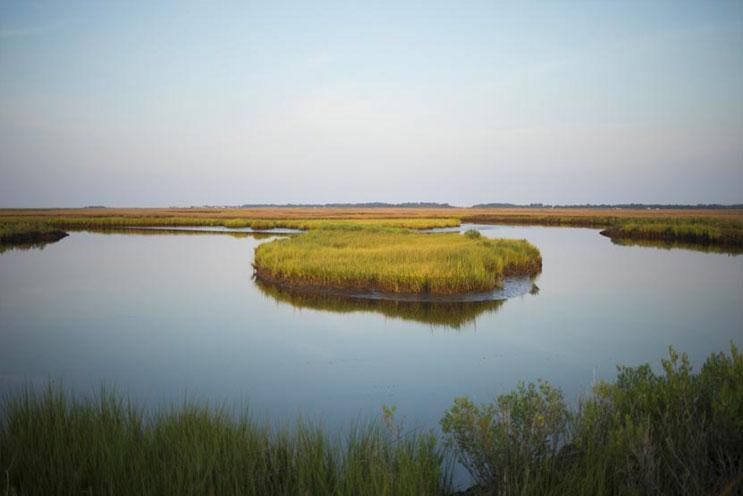 How to Save a Sinking Island